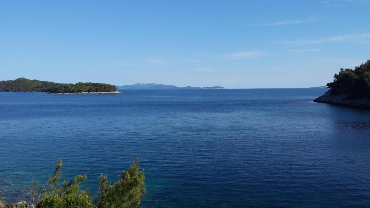 Apartments By The Sea Cove Zaglav, Korcula - 12208 프리즈바 외부 사진